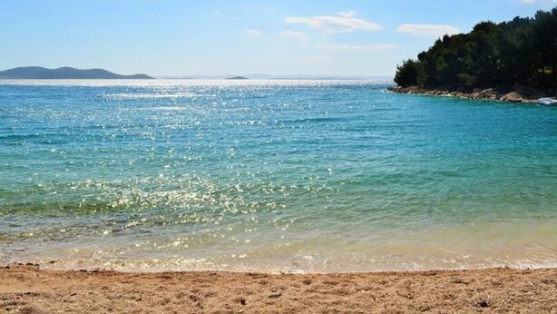 Une plage avec une eau turquoise et limpide, un rivage sablonneux et une zone boisée en arrière-plan.