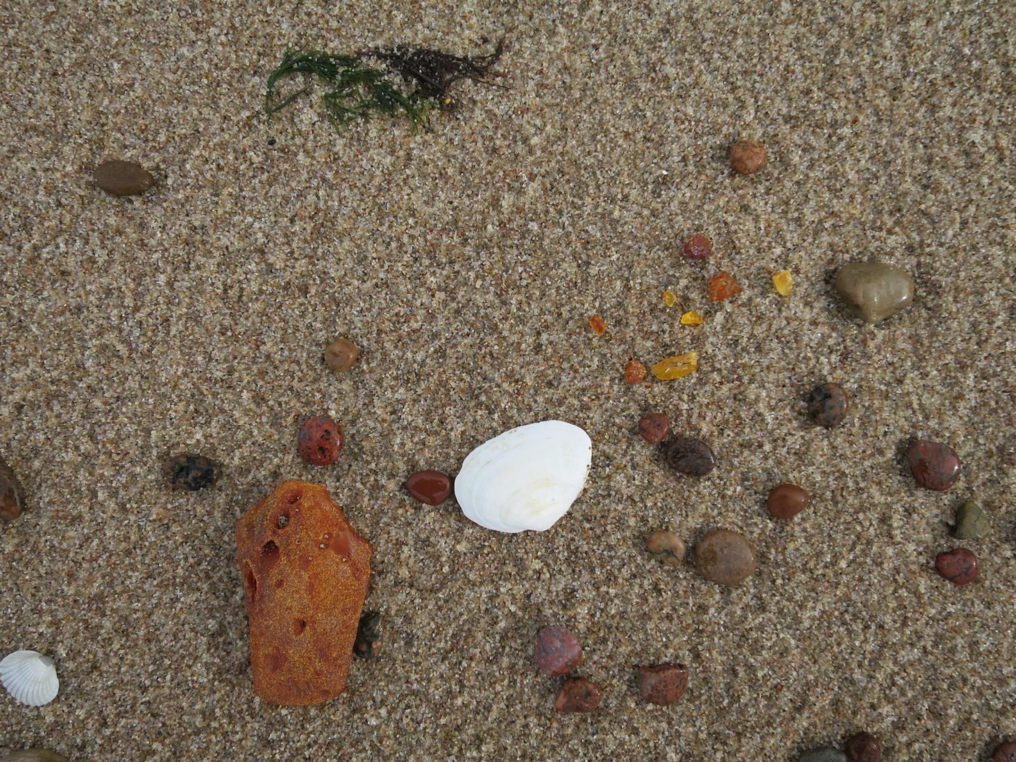 A sandy beach with various stones and shells.