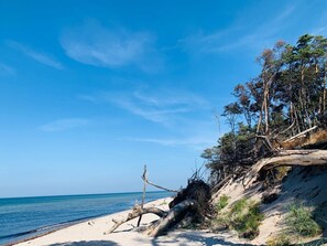 En strand med klar himmel, sandstrand och träd.