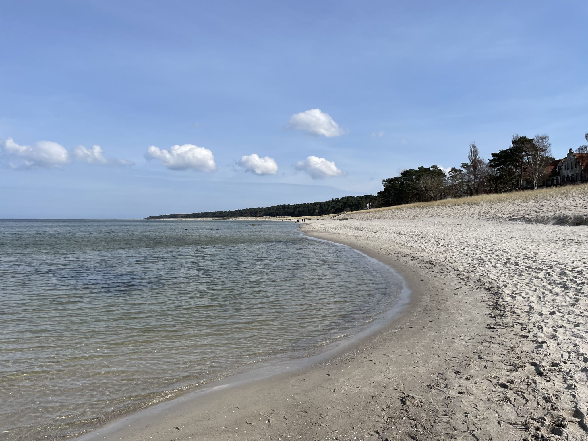 A beach with a sandy shore, calm water, and a distant shoreline with trees and buildings.