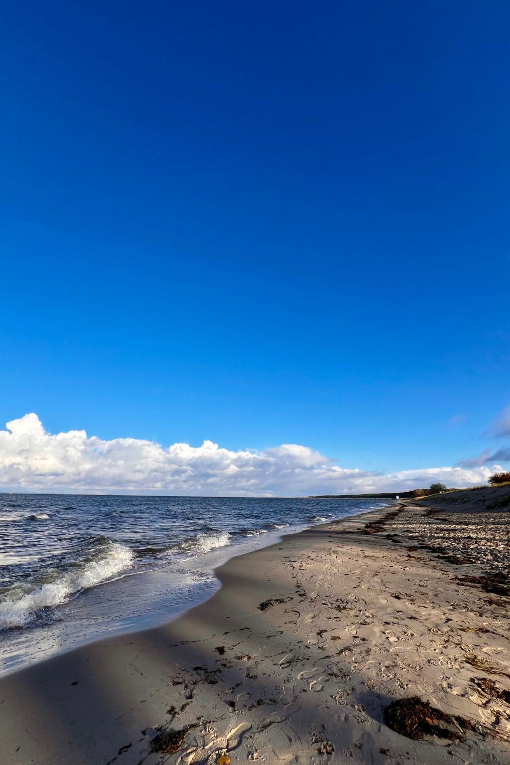 A beach with a clear sky and calm sea.