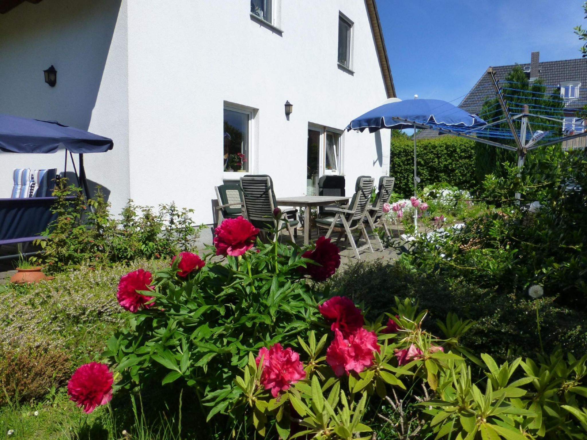 屋外ダイニングエリア