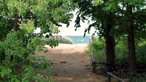 Un sendero de tierra que lleva a una playa, con una bicicleta estacionada al lado.