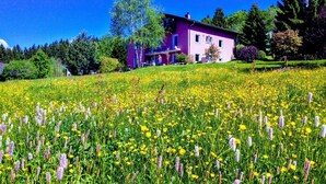 Een roze huis omringd door een veld met gele en paarse bloemen.