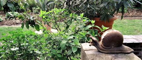 DĂ©tail de lâextĂ©rieur