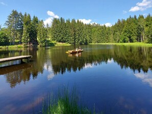 Miscellaneous - Wohnung Dreisessel im Bayerischen Wald by Interhome (Neureichenau)