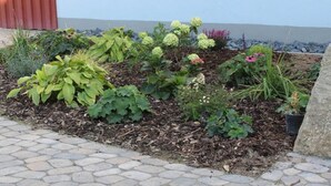 Um jardim com diversas plantas e flores, um caminho pavimentado e um edifício vermelho ao fundo.