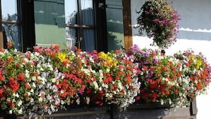 A building with a large flower box filled with colorful flowers. - FeWo Bärli by Interhome (Bad Bayersoien)