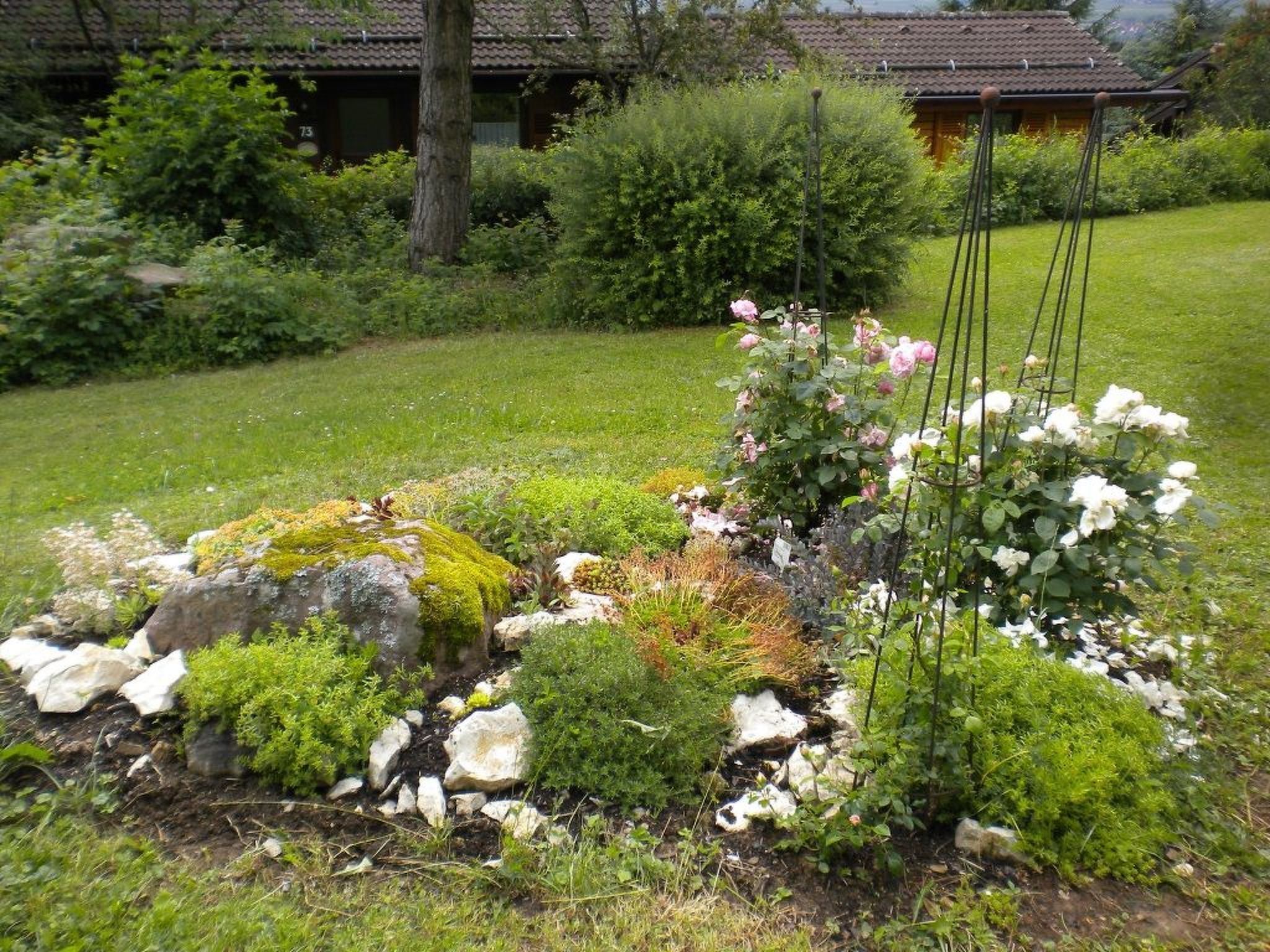 Àrea exterior de l'allotjament