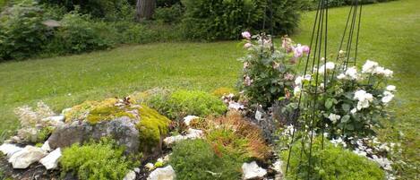 Àrea exterior de l'allotjament