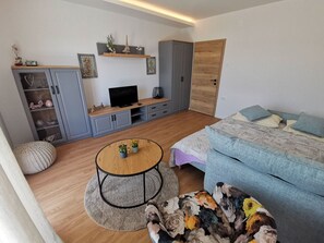 1 bedroom, internet