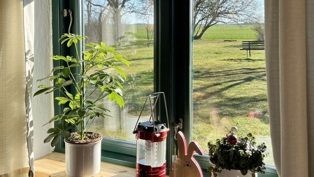 Ein Fenster mit Blick auf ein grünes Feld und Bäume, ein Blumentopf, ein Laternen und eine kleine Figur auf dem Fensterbrett.