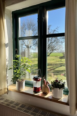 A window with a view of a green field and trees, a potted plant, a lantern, and a small figurine on the windowsill. - Kranich in Ummanz-Lüßvitz by Interhome (Gingst)
