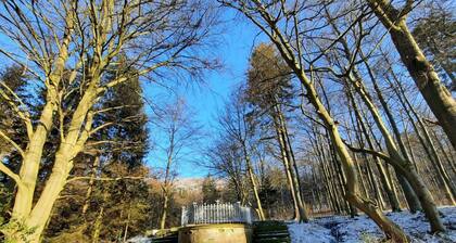 Findling by Interhome