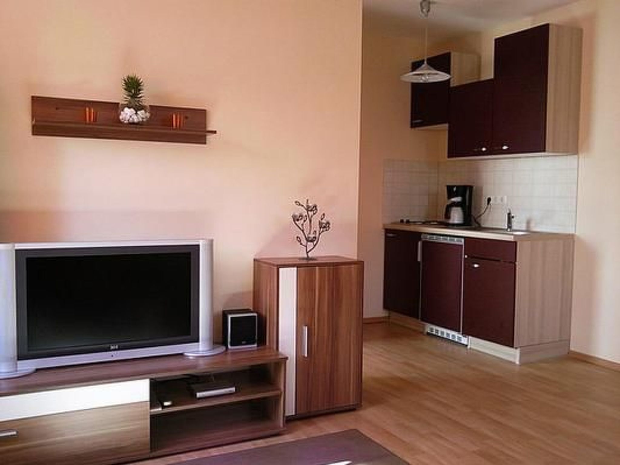 Uma sala de estar moderna com uma TV de tela plana, um pequeno alto-falante e uma planta decorativa sobre uma mesa consola de madeira. Uma cozinha com armários escuros e bancada branca é visível ao fundo.