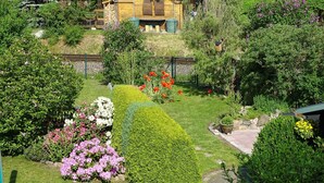 A well-maintained garden with various flowering plants and neatly trimmed hedges. - Domizil für zwei by Interhome (Binz)