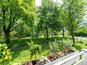 Property grounds - Traum Wohnung direkt am Bodensee mit Seesicht by Interhome (Friedrichshafen)