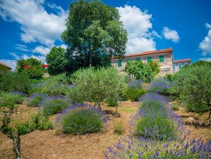 Property grounds - Ferienvilla Vesna in Crikvenica by Interhome (Crikvenica)