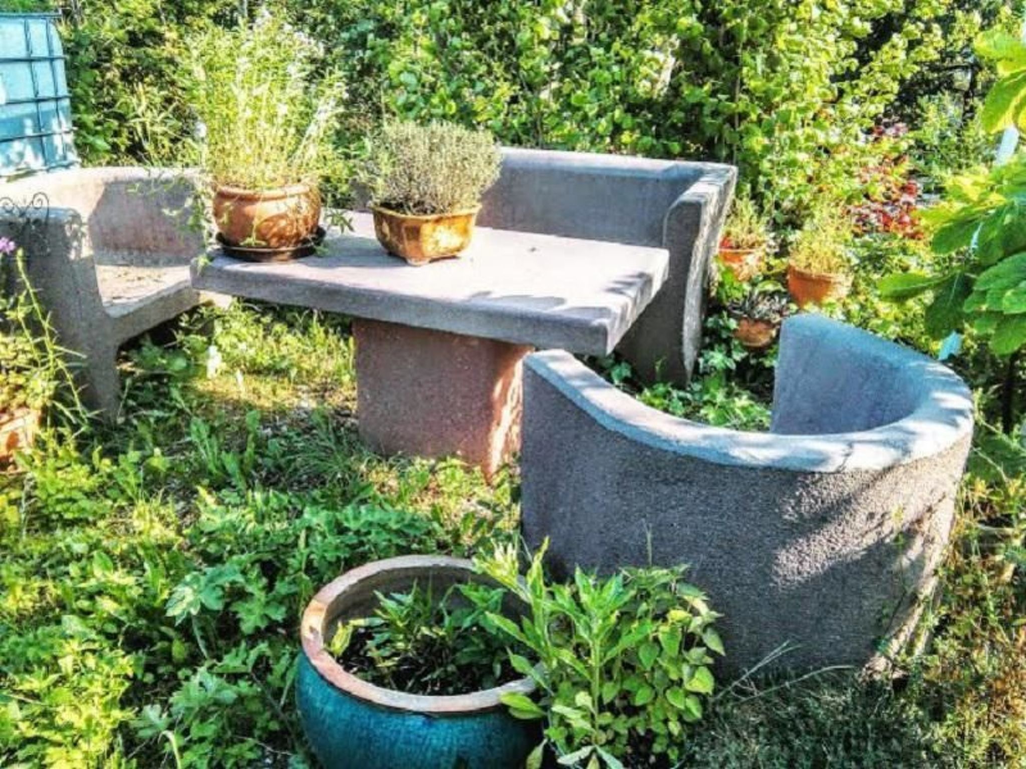 Terrein van de accommodatie