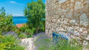 A stone building with a blue shutter, surrounded by lavender fields and a view of the sea. - Ferienvilla Ivanka in Crikvenica by Interhome (Crikvenica)