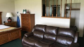 50-inch LED TV with satellite channels