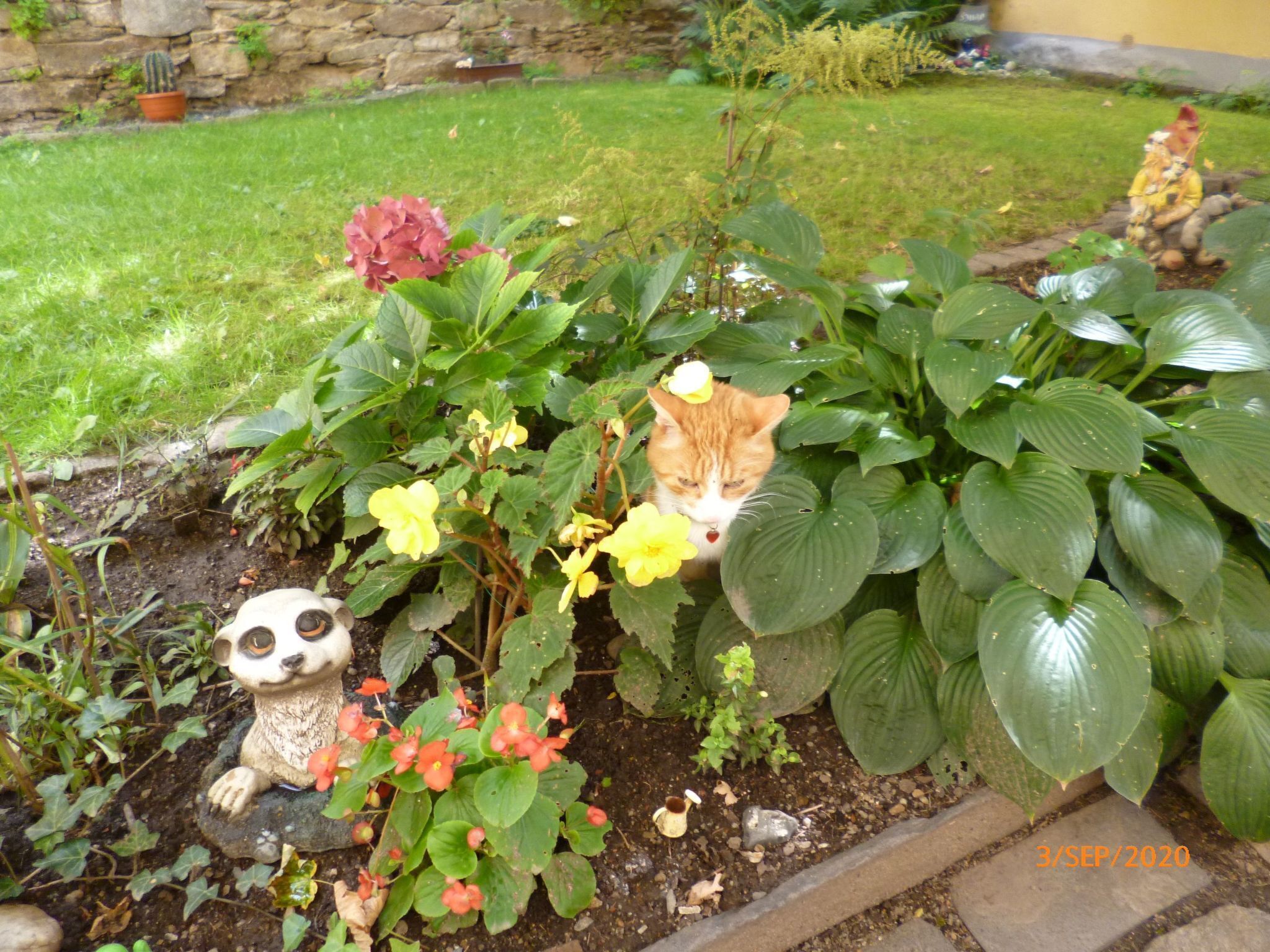 A garden with a variety of plants, a statue of a cat, and a statue of a lemur.