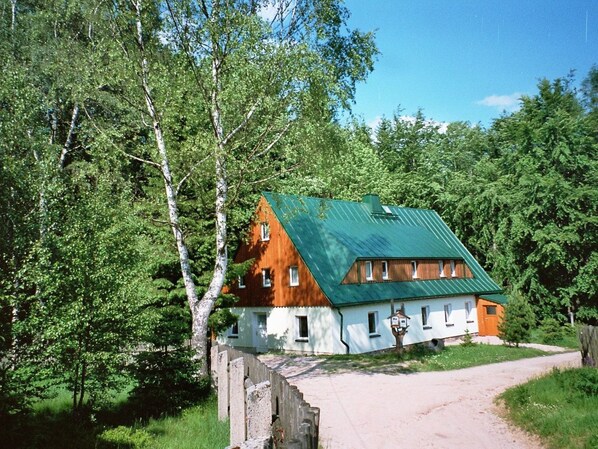 A house with a green roof, surrounded by trees. - Irenahaus by Interhome (Auerbach)