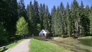 Une cabane dotée d’un porche, entourée d’une forêt et bordée par un lac.