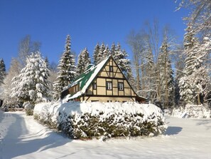 A traditional chalet with a steeply pitched roof, surrounded by snow-covered trees and a clear blue sky. - Irenahaus by Interhome (Auerbach)