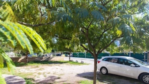 Ein Parkplatz mit einem weißen Auto, das unter einem Baum steht.