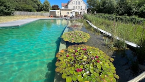 Una piscina cristalina con lirios acuáticos y una casa al fondo.