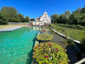 Pool - Meera Bio Holzhaus by Interhome (Damshagen)