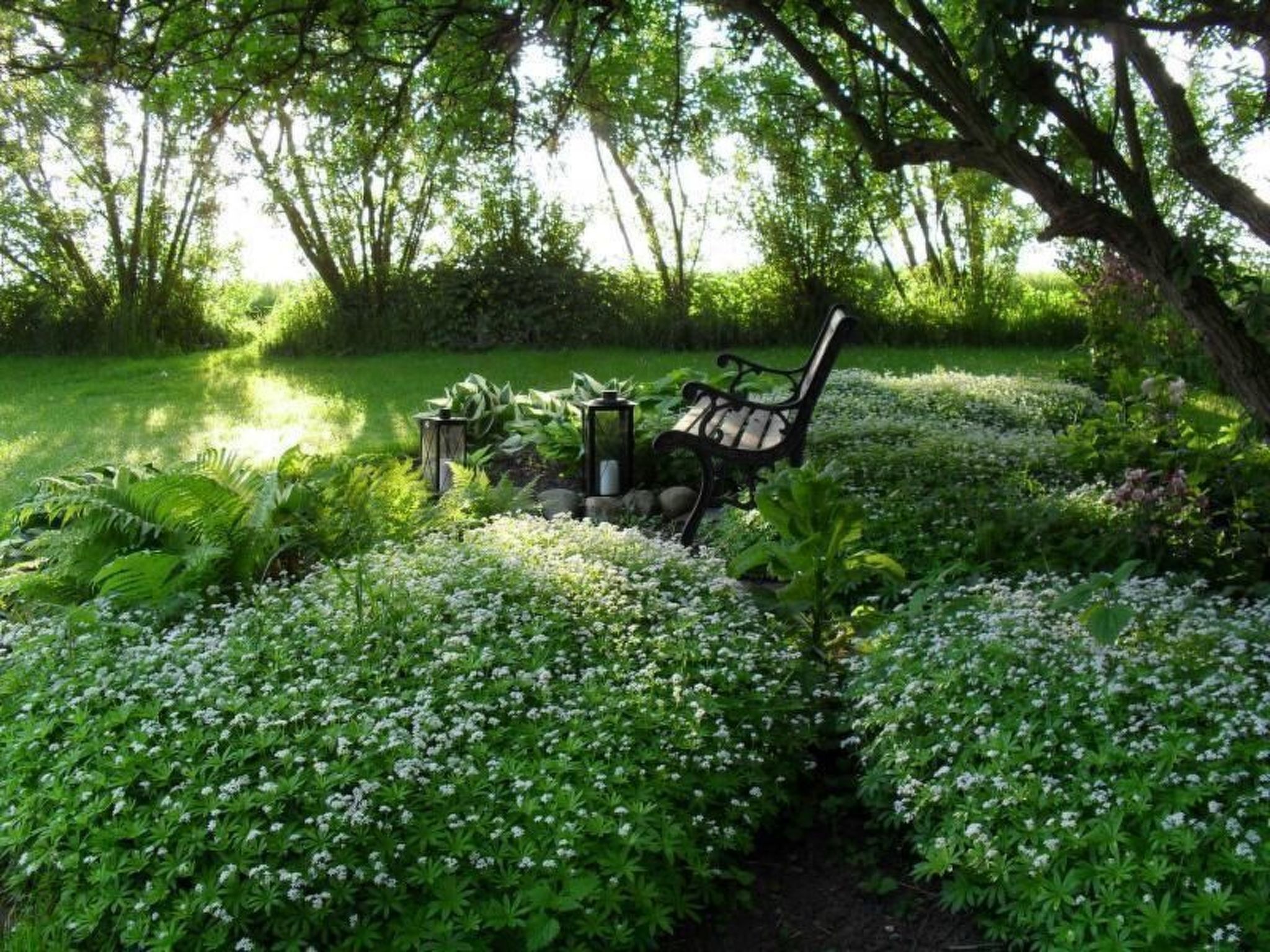 Terrain de l’hébergement 