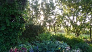 Um jardim exuberante com diversas plantas e flores, rodeado por árvores e um céu claro.