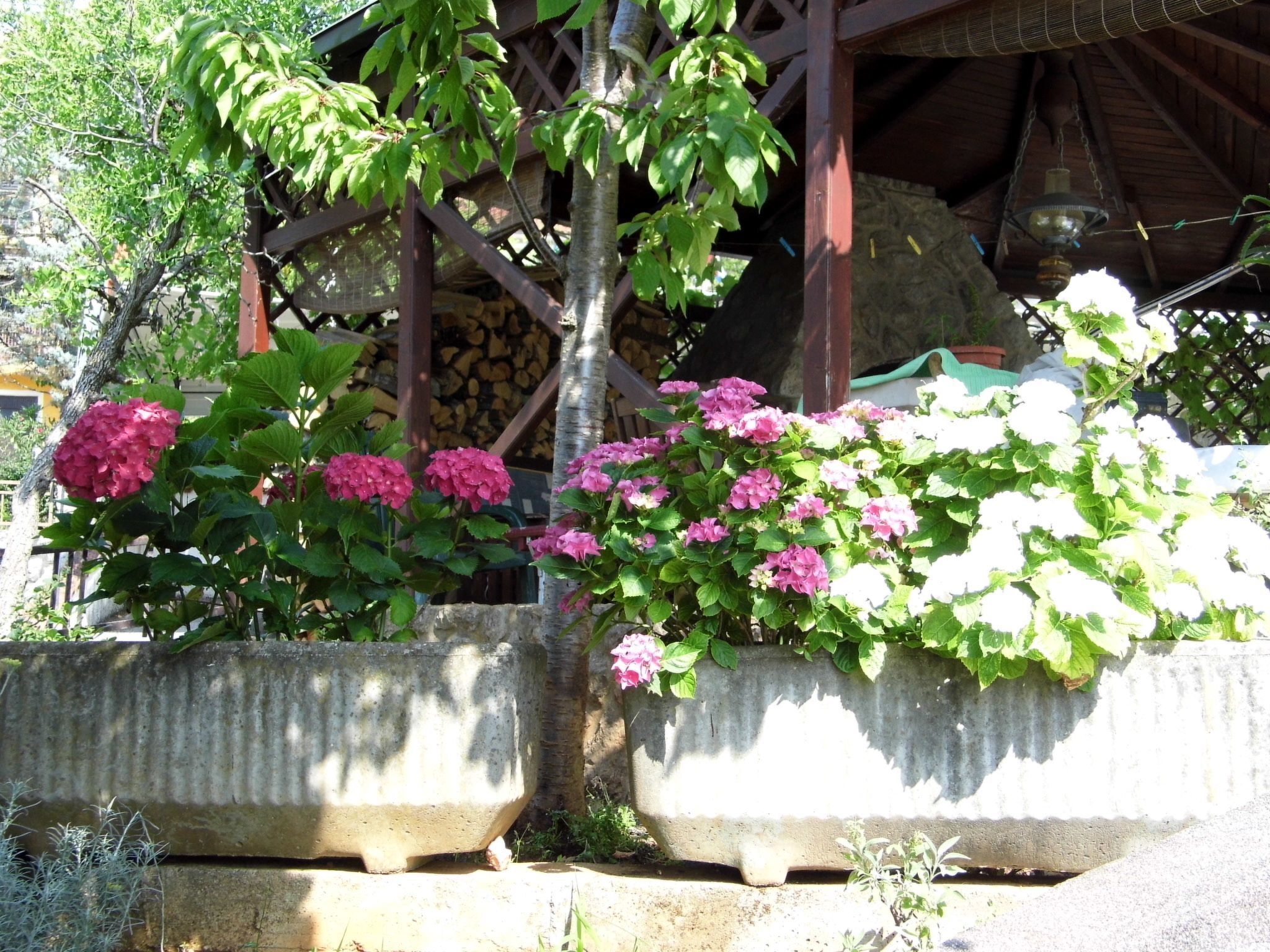 Detalle del exterior