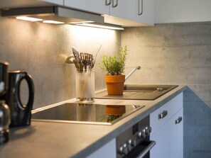 Fridge, oven, dishwasher, cookware/dishes/utensils