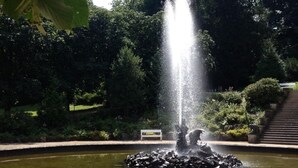 En fontän med vattenstrålar i en parkmiljö.