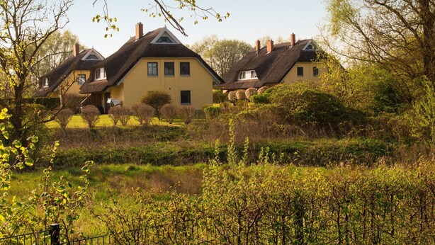 Una hilera de casas tradicionales con tejados de paja, rodeadas de exuberante vegetación y árboles.