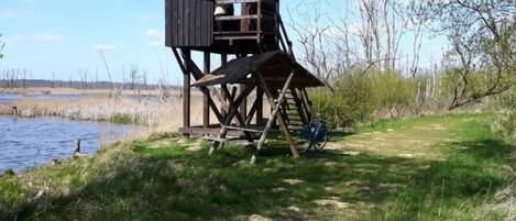 منطقة الأطفال