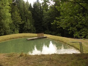 Pool - Quellenhof Kollnburg by Interhome (Kollnburg)