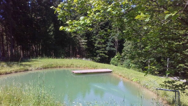 A pond with a wooden platform in a forested area. - Altes Bauernhaus by Interhome (Kollnburg)
