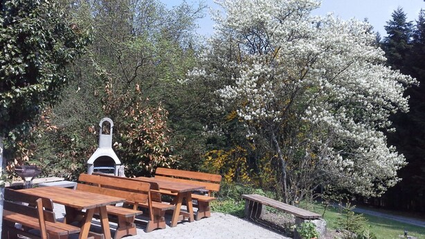 Un área de picnic con bancos de madera y una parrilla, rodeada de árboles y un cielo despejado.