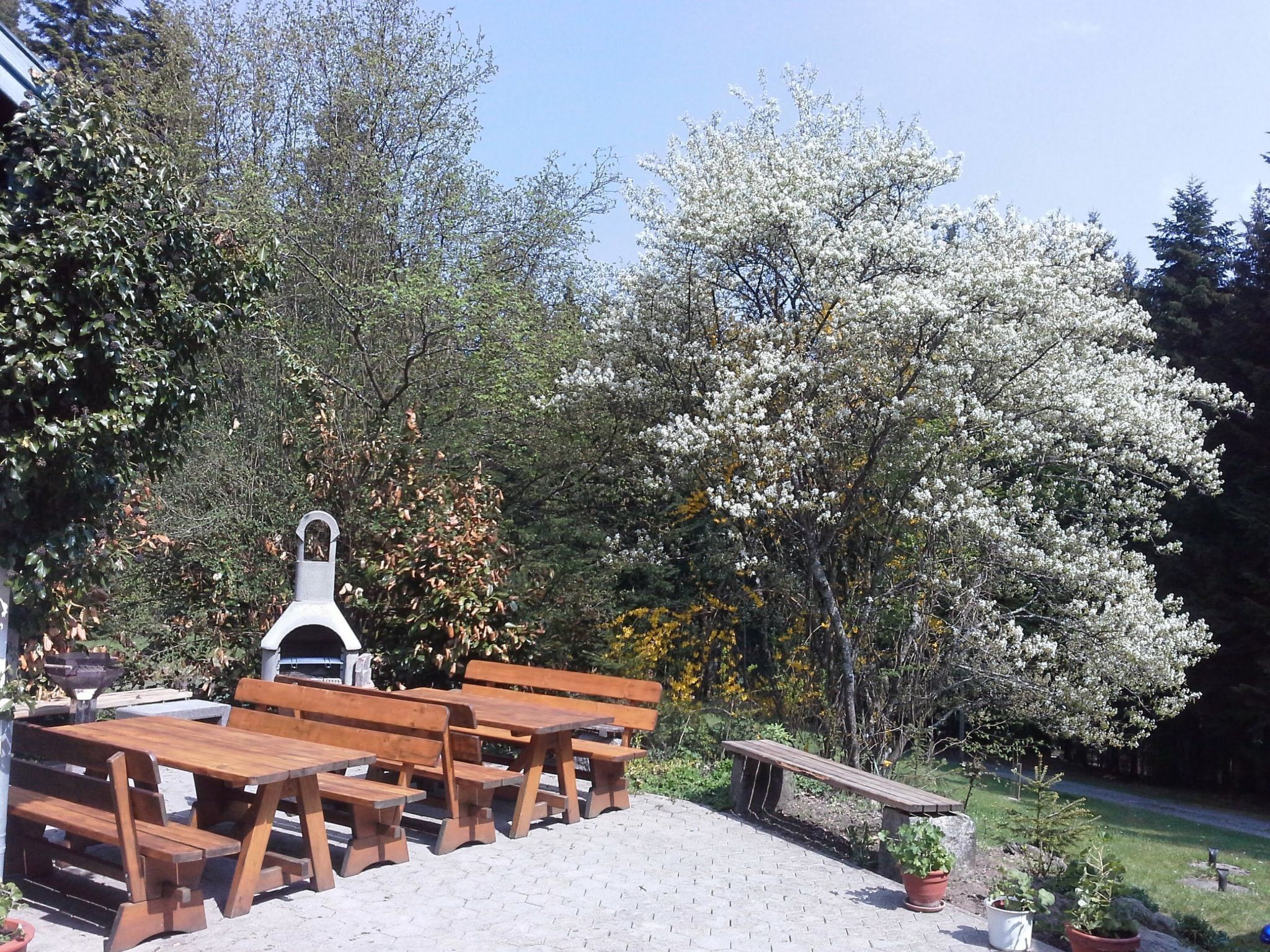 Ein Picknickplatz mit Holzbänken und Grill, umgeben von Bäumen und blauem Himmel.