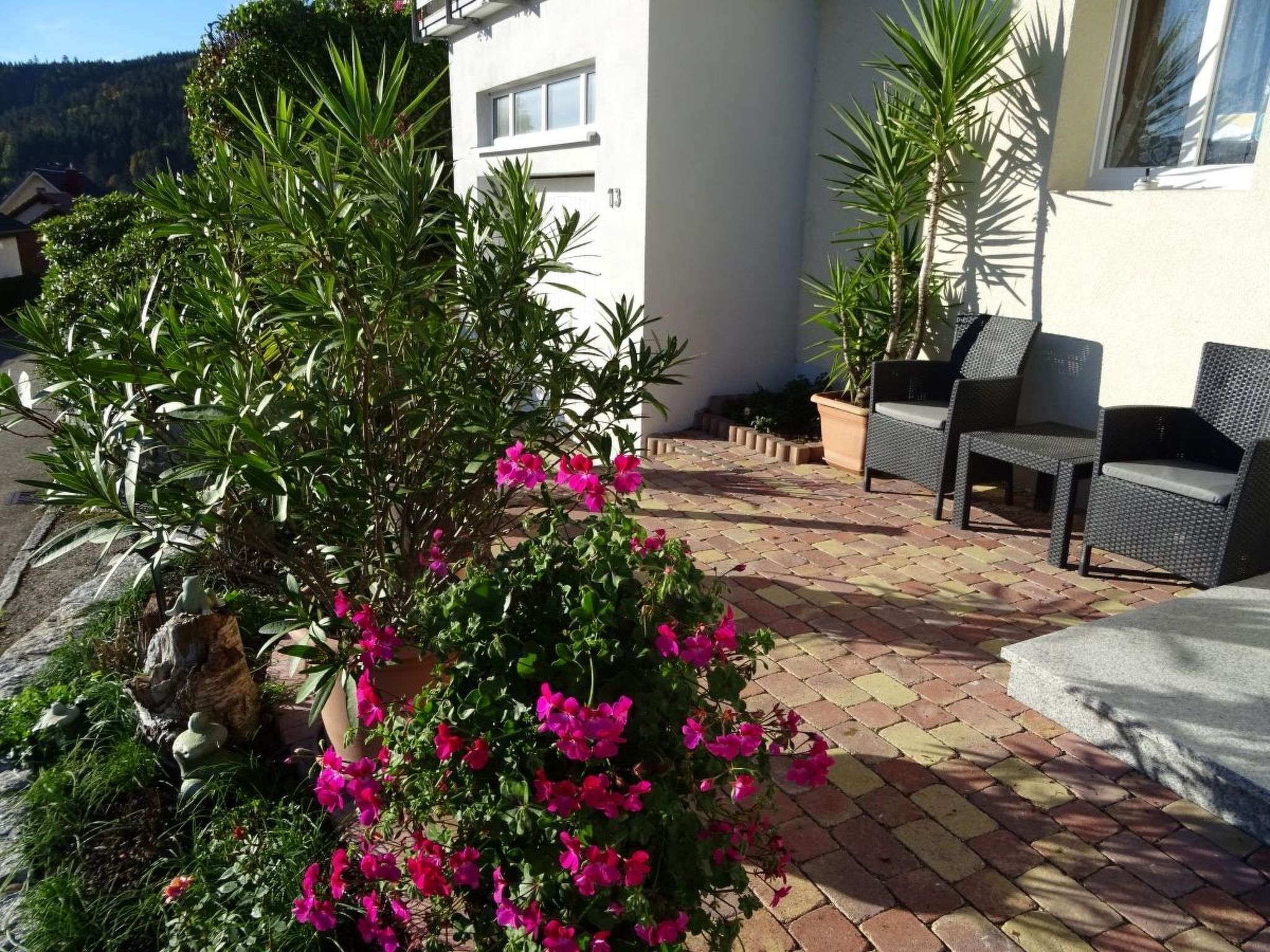 المنطقة المحيطة بالمنشأة