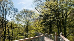 Property grounds - Fewo Stricker 23 by Interhome (Walkenried)