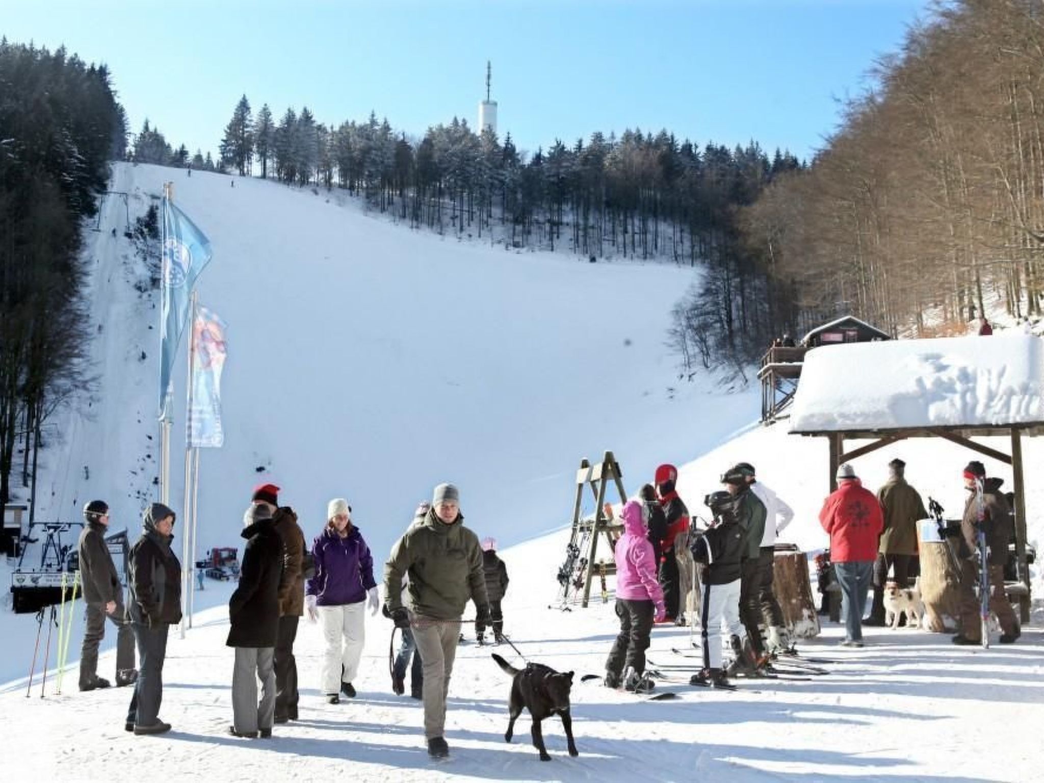 A snowy outdoor area with people and a dog.