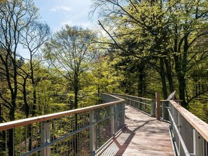 Property grounds - Fewo Stricker 33 by Interhome (Walkenried)