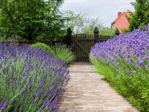Property grounds - in Gąski mit Gepflegtem Garten by Interhome (Gąski)