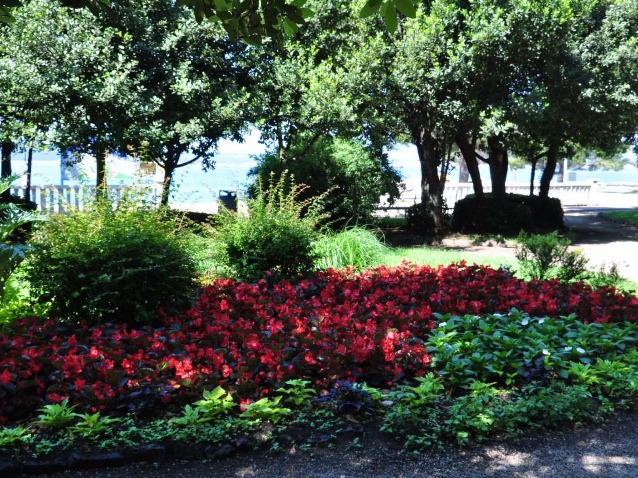 A garden with red flowers and green shrubs, trees, and a pathway.
