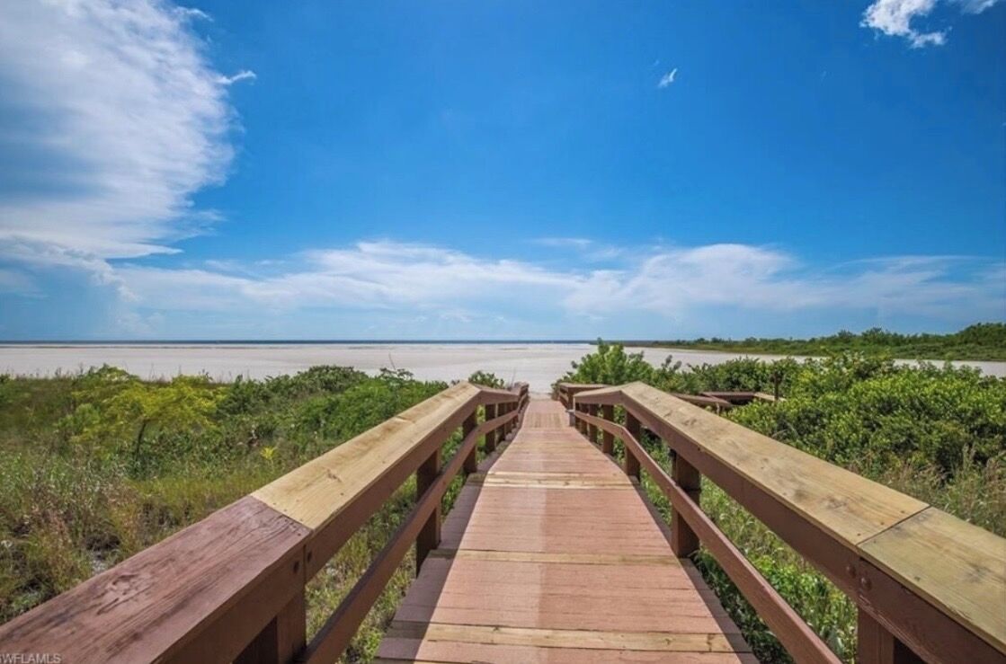A wooden boardwalk leading to a body of water, surrounded by greenery.